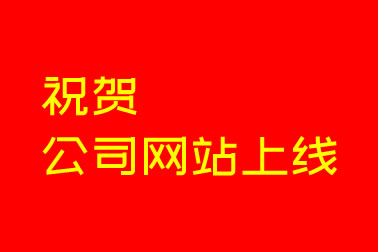 熱烈慶祝公司網(wǎng)站上線